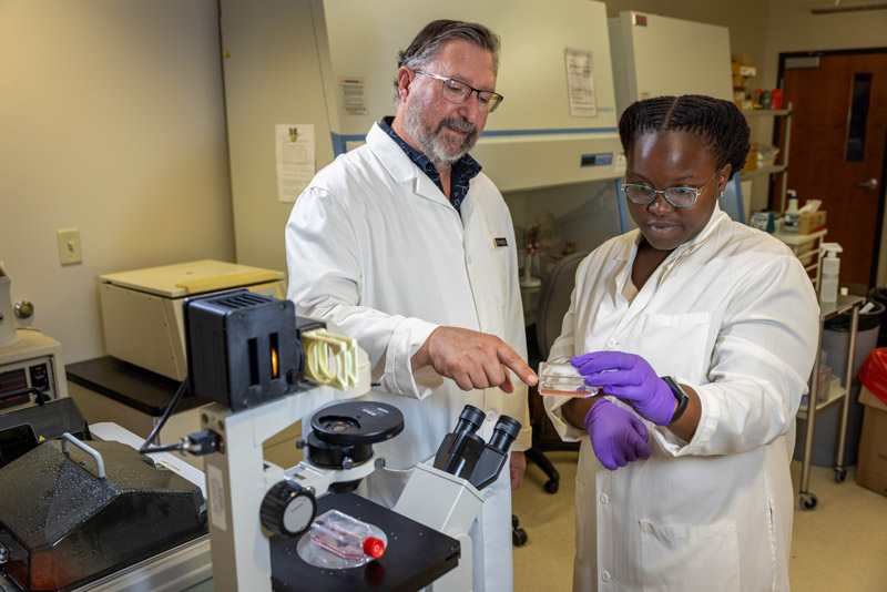A student and professor examine a test slide in a scientific lab.