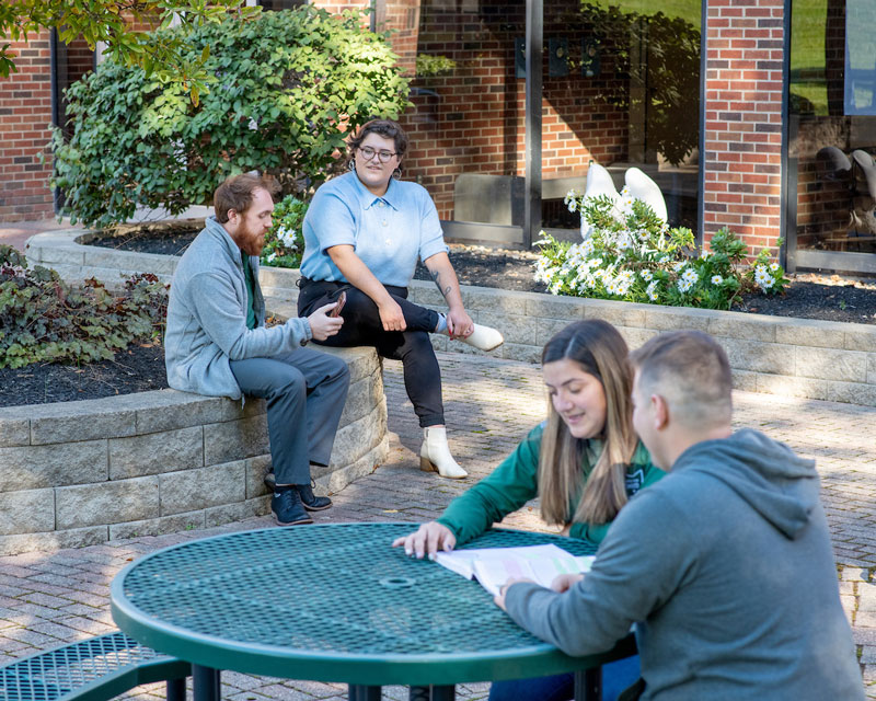 Groups of students study and talk while sitting outside at OHIO Lancaster.